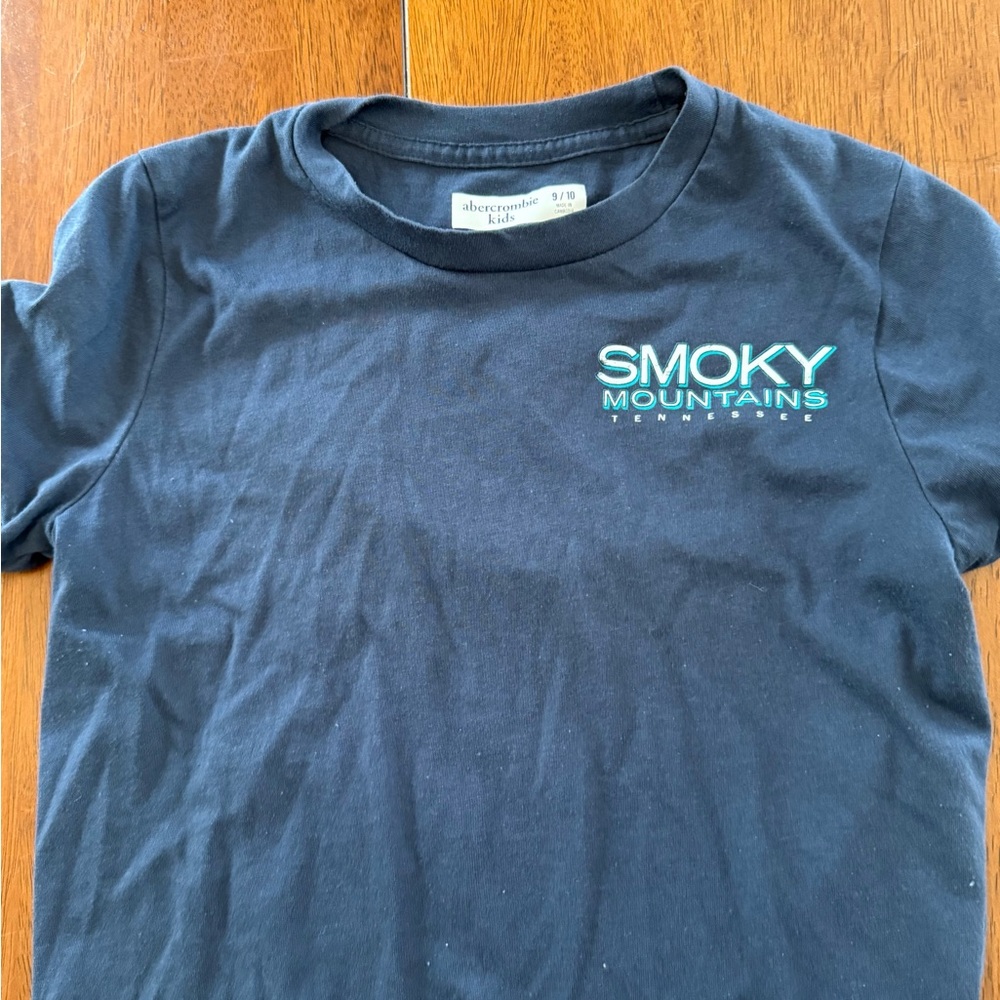 Abercrombie Kids Navy Tee with Smoky Mountains Design boys size 9/10